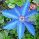 2013年6月18日（火）