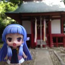 １年経つ前に更新