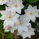 2013年6月19日（水）