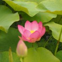 2013年6月22日の日記