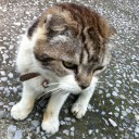 日曜　〓雨とひきこもりと〓