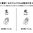 6月24日の日記