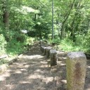 ヒューちゃんの一人旅