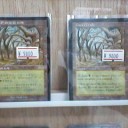 MTG取扱強化中です！