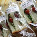 腰痛休暇３日目　“昆虫飼育は好きですか？”　の巻