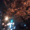 こちらは一足早く
