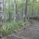 まさにこの一年、餓えていたもの。