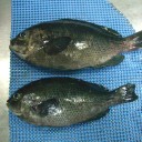 その他な趣味の事