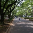 2013年6月29日の日記