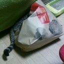 ネコちゃんず993日目