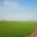 GP新潟という名の登山と温泉