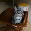 ちょ！ま！7月！