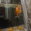 7月4日の日記　飼育20日目