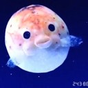 あつい