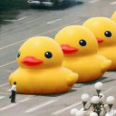 点から線そして面への変遷 vol.8