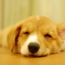 むっしむし