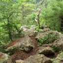 登山始めました