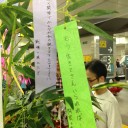 7/7といえば