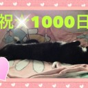 ネコちゃんず1000日目！