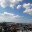 新月・梅雨明け宣言・ネネ先生