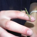 うんことカマキリとソラ吉　“そして”　の巻