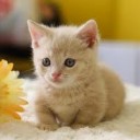 じしんのことは