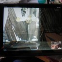 遠隔観察　“skypeの使い方１００選”　の巻