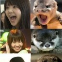 いきものがかり
