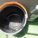 7月11日の日記　飼育27日目