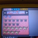 明日のポケセンはＤＳも持って行こう！