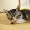 めいよきそん・・・