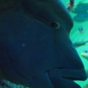 突然のオフライン。