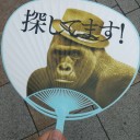 これは投稿せずにはいられない