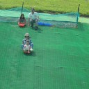 ゆりだけじゃない　ゆり園　