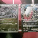 ポケモンカードプレイヤーズ図鑑