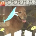 たにんごとにおもえない・・・