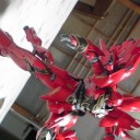 今日の… (7/30-2013)