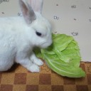 バイバイ