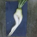 きもーたらしいこと書こうと思う