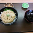 夏休みだぜー☆