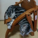 ガツンと8月