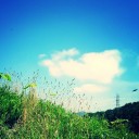 夏の風