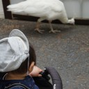 いつになるのさオープンβ