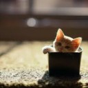 もうすぐおぼん・・