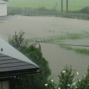 【朗報】水引いた