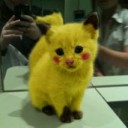 ねずみじゃなかったのか・・