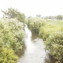 楽しい川辺。