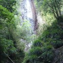 島風の薄い本が欲しかったから、清川村行かなかった