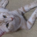 たまには