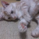 たまには